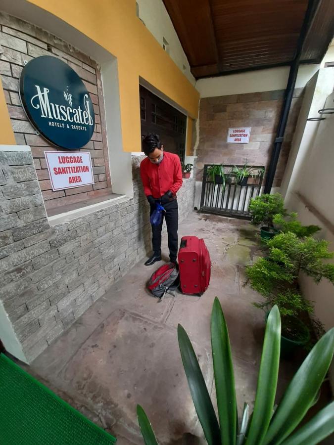 Muscatel Delamare - 200 Mts From Mg Marg Hotel Gangtok